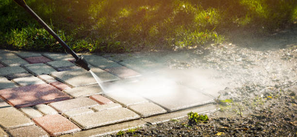 Animal Enclosure Cleaning in Charlotte Park, FL